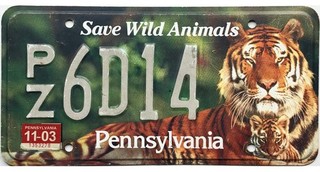 99 CENT SALE 2003 Pennsylvania WILD ANIMALS TIGER License Plate #PZ 6D14 NR