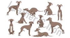 Italian Greyhound Dog Design Vinyl Checkbook Cover
