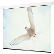 Targa XL Electric Projection Screen 126 X 168