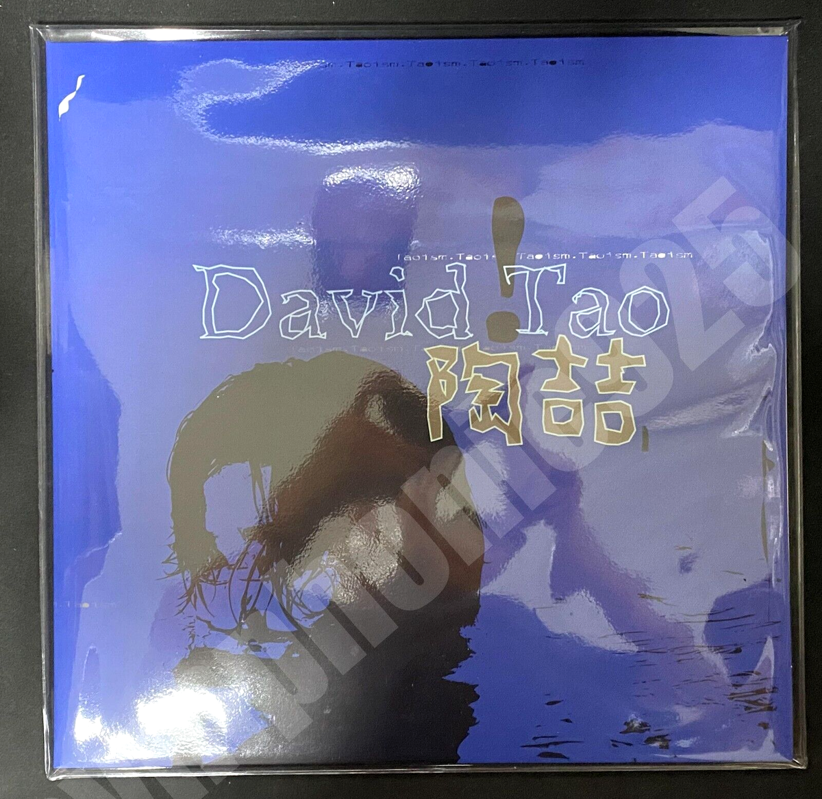 2021 陶喆 David Tao Self-Titled Transparent Blue 12+7 Vinyl 2021 陶喆 David Tao Self-Titled Transparent Blue 12+7 Vinyl