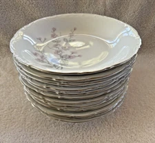 FRAGRANCE Soup Bowl(s) Mitterteich 8" Diameter Hand Painted Bavaria Germany VTG