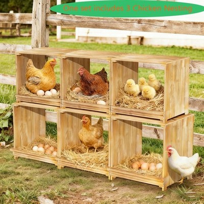3-Fach Legenest Hühnernest Brutnest Legebox aus Kiefernholz (105x30x36 cm)