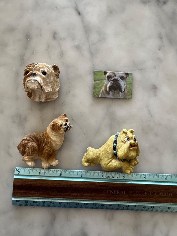 English lot of 4 English Bulldog refrigerator Magnet 3D