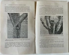 Picture 4 of 4