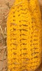 Bild 11 von 11