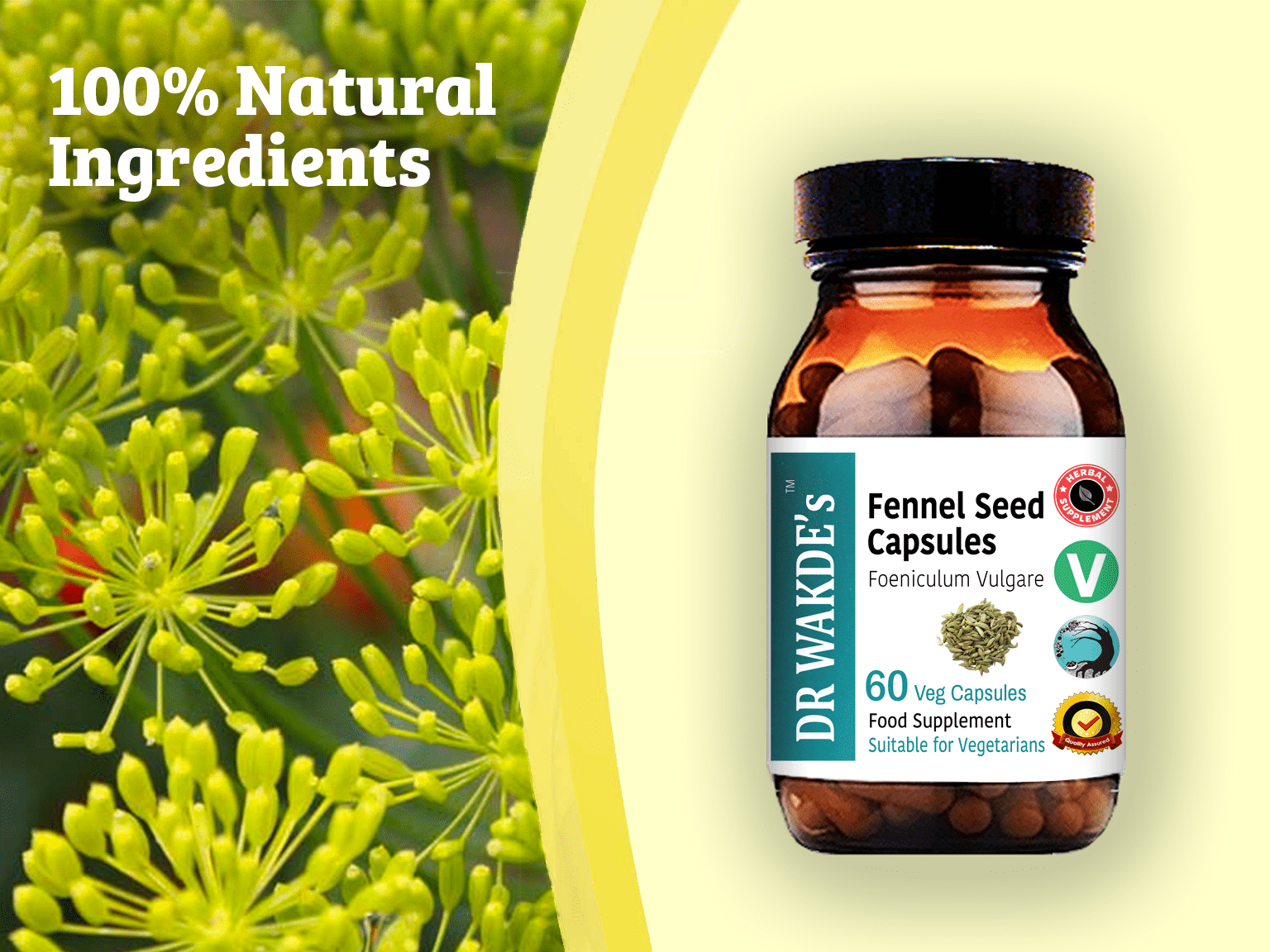 DR WAKDE'S Fennel Seed Capsules 60 Veg Caps Ayurvedic Supplement