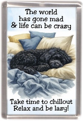 Cavapoo Doodle Cockapoo schwarz Hund Kühlschrankmagnet - von Starprint