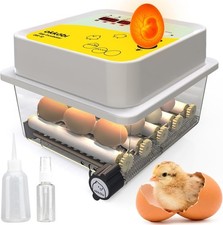 Incubadora de huevos, incubadora de 12 huevos...