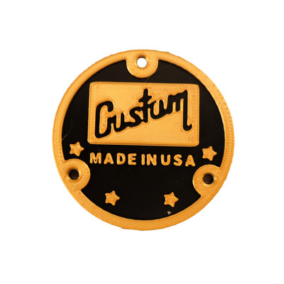 Les Paul Single Cut Electric Guitar Toggle Switch Back Cover For Gibson Epiphone