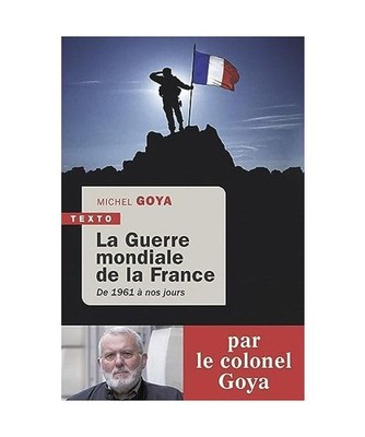 La guerre mondiale de la France: De 1961 à nos jours, Goya, Michel
