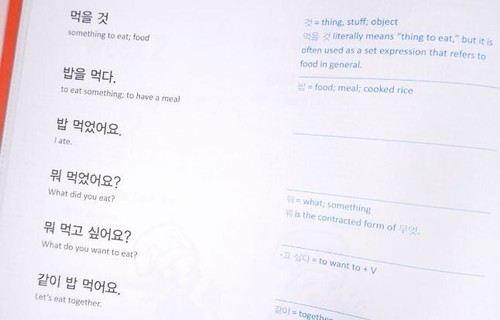 My Weekly Korean Vocabulary Book 1 by Talk To Me In Korean (TTMIK) - Picture 3 of 7