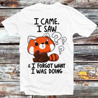T-Shirt I Came I Saw I Forget What I Was Doing Forgetful rot Panda B791