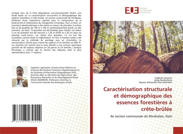 Valdimir Vincent (U. A.) | CaractéRisation Structurale Et DéMographique Des...-image