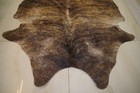 B7 Vintage Real Bear Fur Skin Hearth Rug Shaded Brown Animal — photo 5