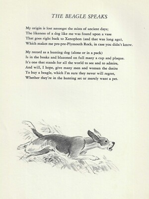 Beagle Dog Illustration, Print and Poem - CUSTOM MATTED - 1947 Dennis