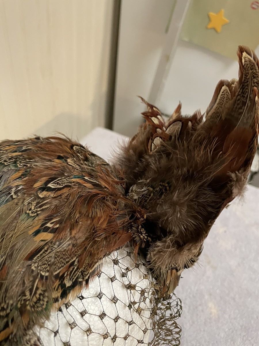 ANTIQUE - PHEASANT FEATHERS-NETTING LADIES HAT | eBay