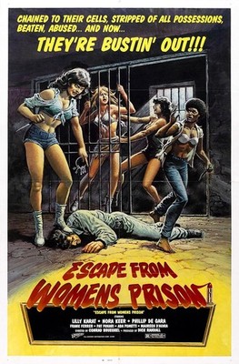 Flucht aus dem Frauengefängnis 01 Filmposter Kunstdruck Vintage-Stil Premium Modern