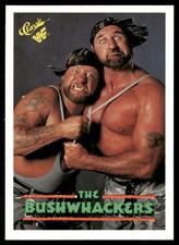 Bushwhackers 1990 Classic WWF The History of Wrestlemania #148