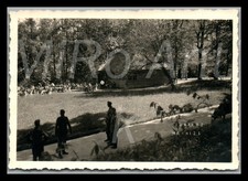 Foto WK2 Nachl. Th.Lampel, I.R.171, Lowel Luck, oficiales en el parque, L297L
