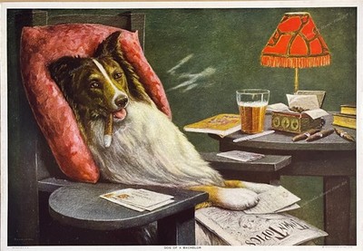 A Bachelor's Dog   reading the mail by Cassius Marcellus Coolidge- giclee print