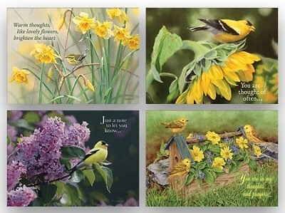 CARD-BOXED-SHARED BLESSINGS-THINKING OF YOU 2-BIRDS (BOX OF 12)