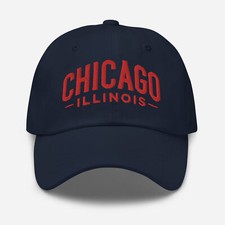 Embroidered Chicago Illinois Dad Hat  Travel  Vacation Hat