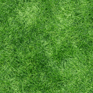 Seedranch Pensacola Bahia Gr Seed Coated 50 Lbs Ebay Image Is Loading Seedranch Pensacola Bahia Gr Seed Coated 50 Lbs