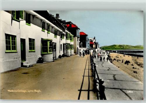 39831814 - Dorset de pensión hotel cabaña Lyme Regis Madeira - Imagen 1 de 2