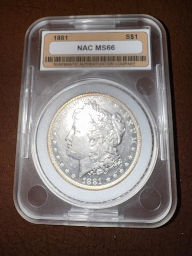 1881 Silver $1 Dollar Coin. Stunning condition, and officially graded at MS66.