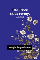 The Three Black Pennys A Novel Joseph Hergesheimer Taschenbuch Englisch 2024