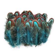 50 pcs Natural Pheasant Plumage Feathers 2-3 Inches Plumage Feathers for Sewi...