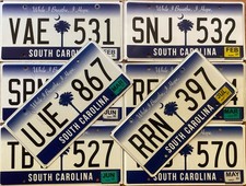 1 South Carolina license plate - random number