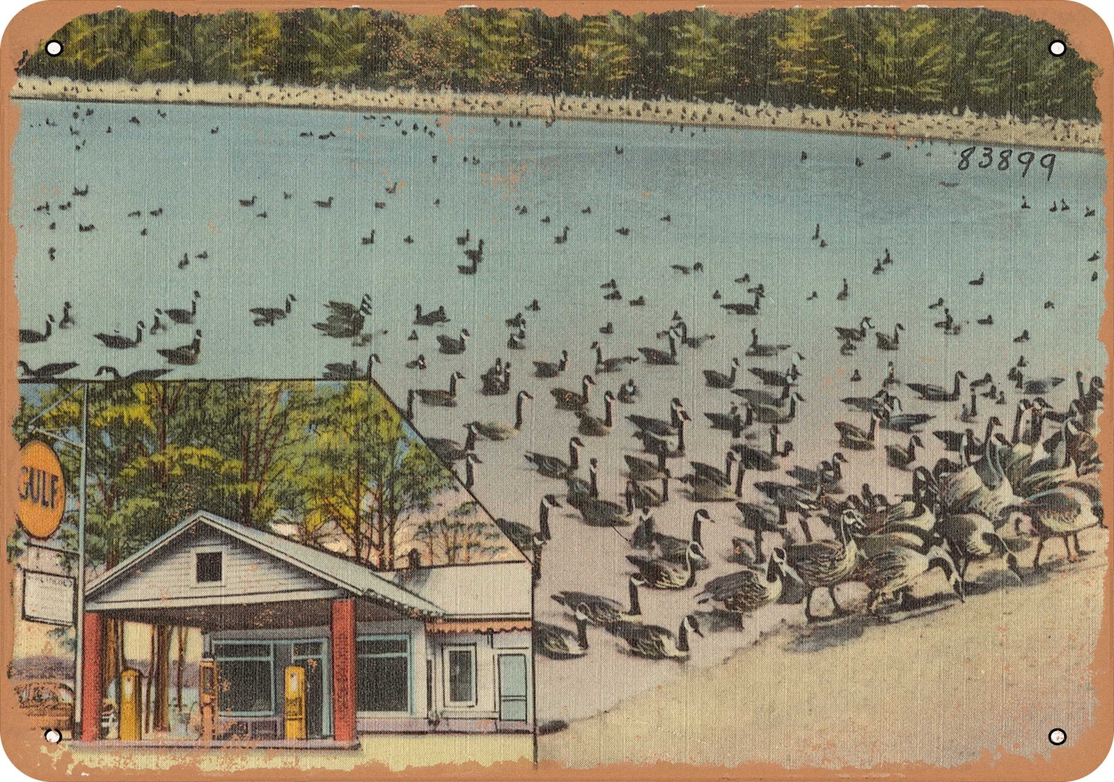 Metal Sign North Carolina Postcard R. L. Ingold's Wild Goose Pond
