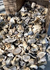 COLORFUL TX ~Chert/Jasper Rough Rock Tumbling~ 20+ LB Lots *Med. FR Box Full