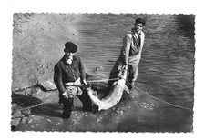 CPA 17 TALMONT SUR GIRONDE - CAPTURE D'UN SPLENDIDE ESTURGEON DE 80KGS - Pêche