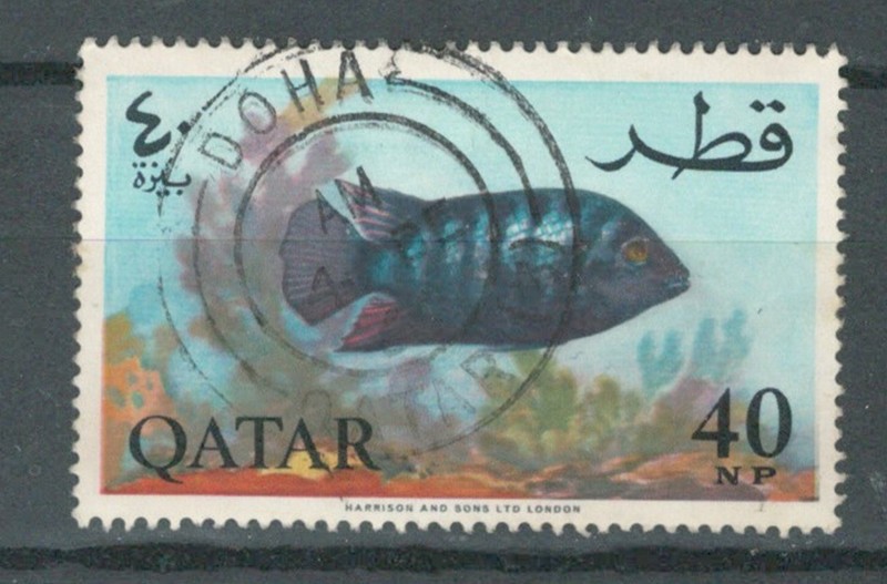 QATAR  MIDDLE EAST POSTAL USED FISH 40 NP  STAMP   LOT ( Katar 779)