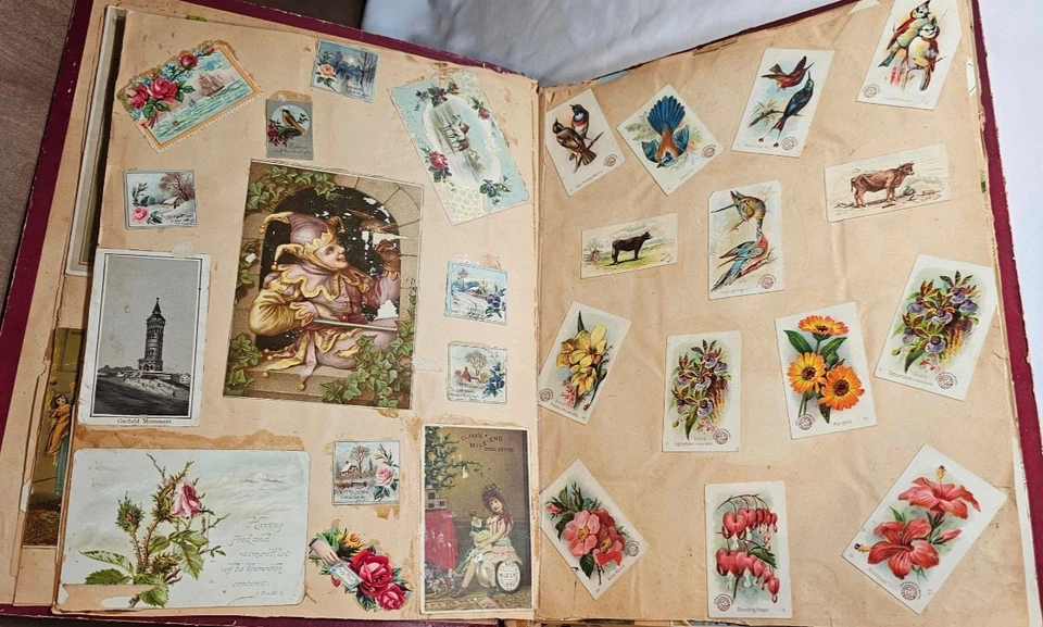 Antique 19thC Victorian Die-Cut Trade Advertising Cards Album Scrapbook 456+ - Image 4 of 4