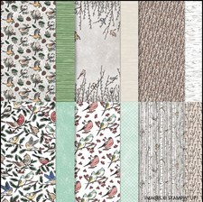 NESTS OF WINTER Designer Series Paper DSP Stampin Up 12x12 Full Pack 2607