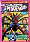 Amazing Spider-man  135  Bronze Age 2nd Punisher    1974 VG-