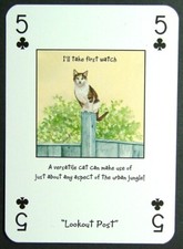 1 x playing card Magnificent Moggies Cat Lookout Post 5 of Clubs