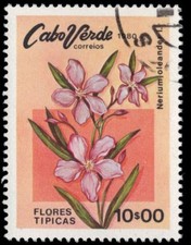 CABO VERDE 419 (Mi428) - Flores de adelfa "Nerium adelfa" (pa57707)