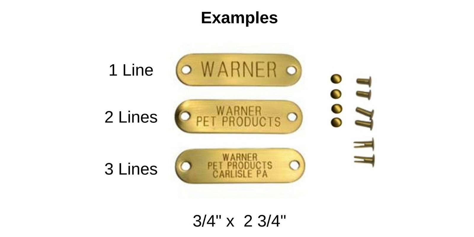 Warner Brand Engraved Brass Pet ID Dog Tag with three sizes of rivets USA eBay