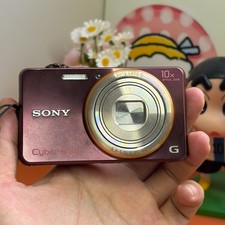 Sony Cyber-Shot DSC-WX100 CCD Digital Camera 18.2 MP 10x Optical Zoom Brown