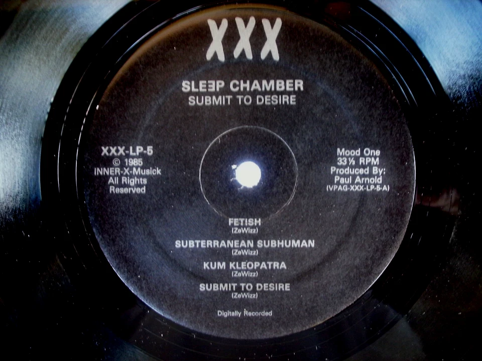 SLEEP CHAMBER "SUBMIT TO DESIRE" RARE 1985 GOTHIC DARKWAVE  INDUSTRIAL LP XXX NM - Image 3 of 4