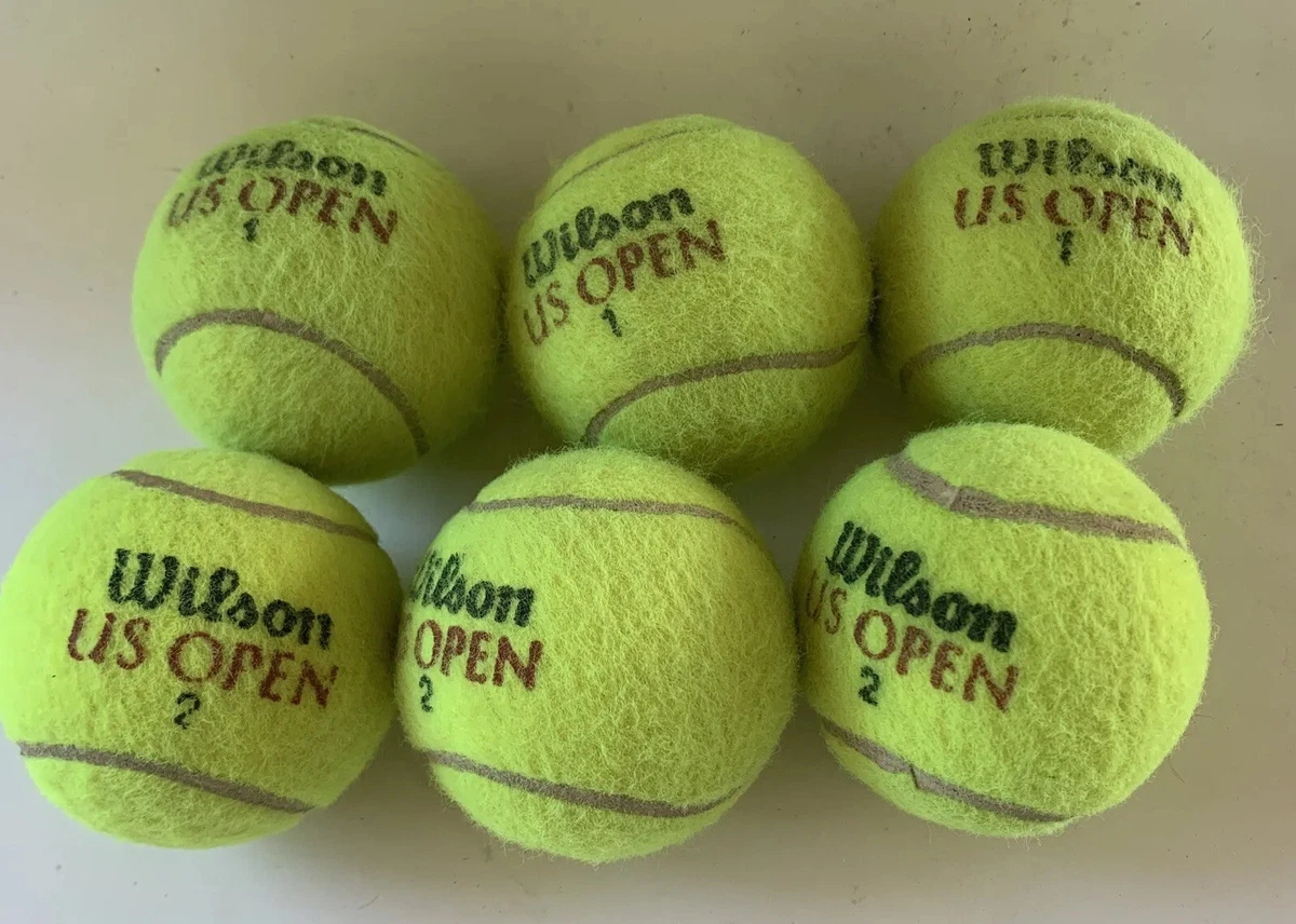 Wilson on sale tennis balls
