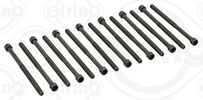 ELRING 794.480 Zylinderkopfschraubensatz für BMW,BMW (BRILLIANCE),MORGAN,TOYOTA