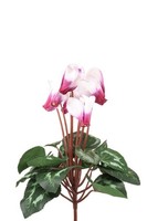 Artplants Kunstblumen Alpenveilchen Veriana Auf Steckstab, Weiß-Pink, 30Cm