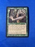 HERMIT DRUID LP+ Stronghold Original mtg Magic fast shipping