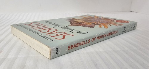 A Guide To Field Identification Seashells Of North America 1968 - Picture 3 of 7