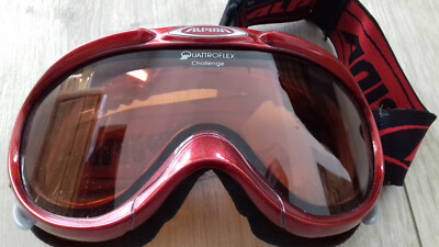1 coole Winter Ski Brille von ALPINA Quattrofelx Challenge